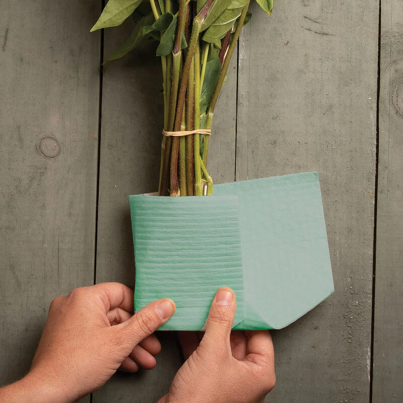 Eco-Wraps™ – S 5 Eco-Wraps™ – S - Image 3