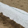 Agribon+ AG-19 – 83" X 50' -Garden Plant Shop 09029 01 agribon83x50