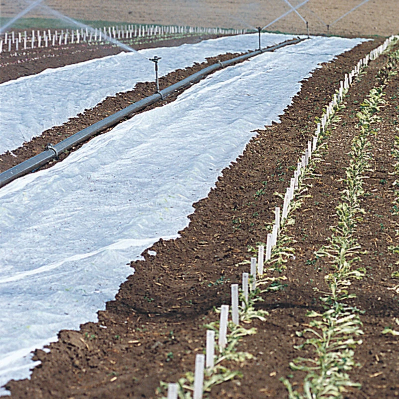 Agribon+ AG-19 – 30' X 100' 3 Agribon+ AG-19 – 30' X 100'