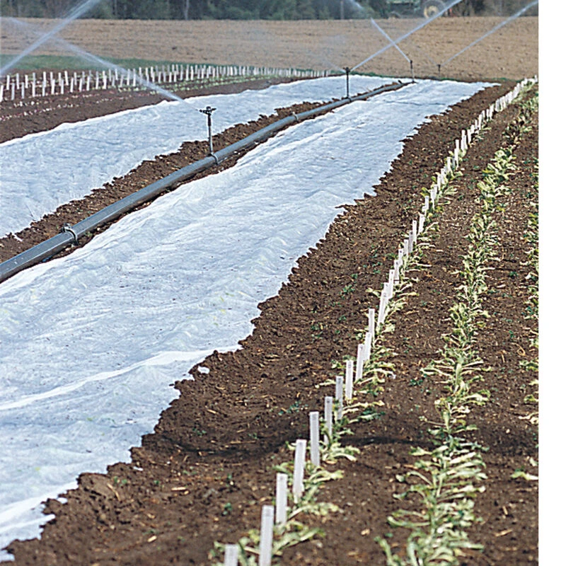 Agribon+ AG-19 – 83" X 250' 3 Agribon+ AG-19 – 83" X 250'