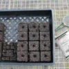 Soil Block Propagation Trays – 5 Count -Garden Plant Shop 09397 01 sbproptray