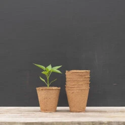 4" Round Fertil Pots β 50 Count