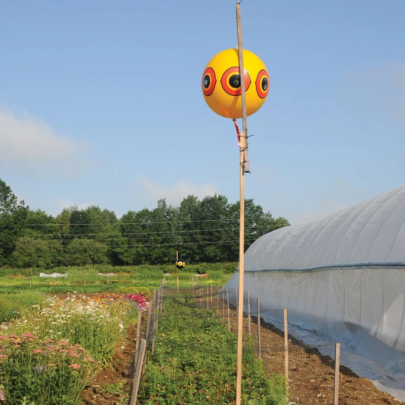 Terror-Eyes Balloons 3 Terror-Eyes Balloons