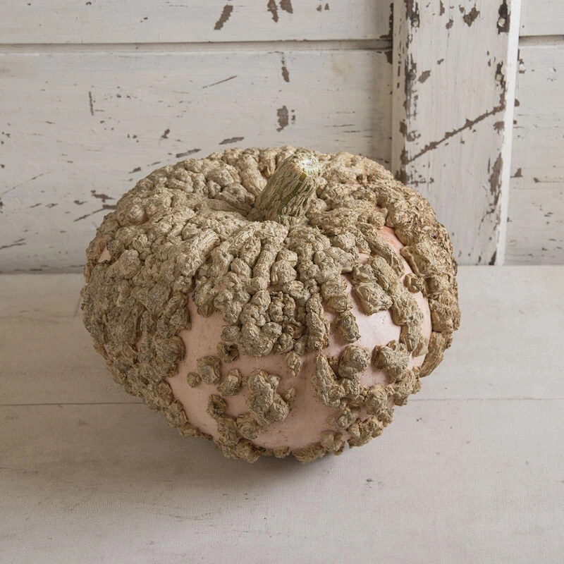 Galeux D'Eysines 3 Galeux D'Eysines