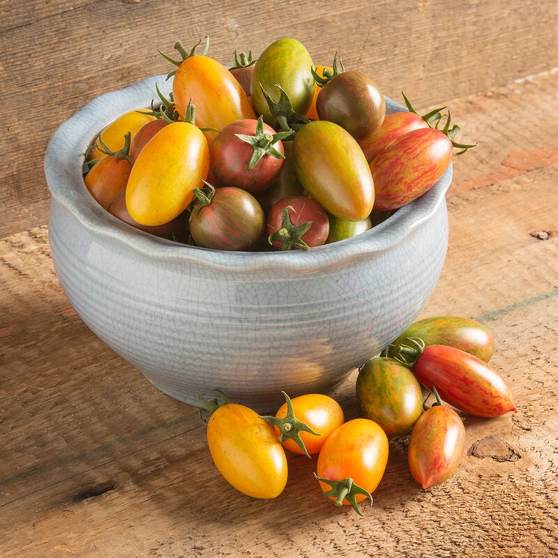 Artisan Tomato™ Collection 4 Artisan Tomato™ Collection - Image 2
