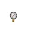 Pressure Gauge – 0-30 PSI -Garden Plant Shop 6287 01 prssuregauge
