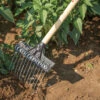Tine Weeding Rake – 9" -Garden Plant Shop 7408 01 tineweedingrake9in
