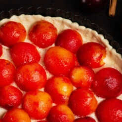 Bubblegum 'Toka' Plum Tree 11 Bubblegum 'Toka' Plum Tree -Garden Plant Shop Bubblegum Toka Plum 3