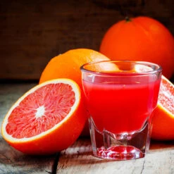 Cara Cara Navel Orange Tree