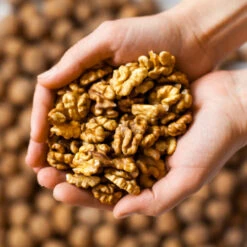 Chandler Walnut Tree -Garden Plant Shop Chandler Walnut 2 BB