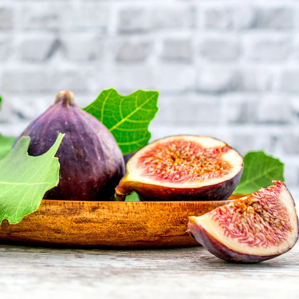 Chicago Hardy Fig Tree 6 Chicago Hardy Fig Tree - Image 4