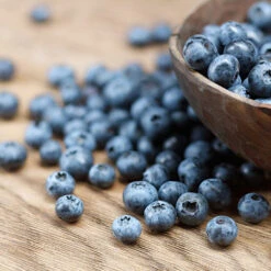 Emerald Blueberry Bush -Garden Plant Shop Emerald Blueberries 1