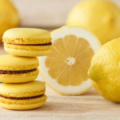 Eureka Lemon Tree -Garden Plant Shop Eureka Lemon Tree 2 BB