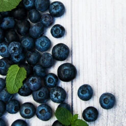 Jewel Blueberry Bush -Garden Plant Shop Jewel Blueberry 2