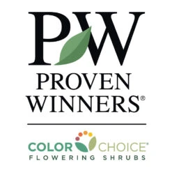 Sprinter® Boxwood Shrub -Garden Plant Shop PW Logo CC 1000x1000 7efae2ec 5967 4662 828b fbd0241dbde4