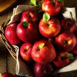 Apple Pollinator Pack 12 Apple Pollinator Pack -Garden Plant Shop Red Delicious Apple 2