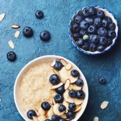 Reveille Blueberry Bush -Garden Plant Shop Reville Blueberry 2