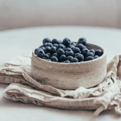 Sharpblue Blueberry Bush -Garden Plant Shop Sharpblue Blueberry 1