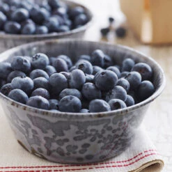 Sweetheart Blueberry Bush -Garden Plant Shop Sweetheart BLueberry 4