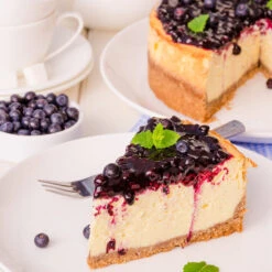 Sweetheart Blueberry Bush -Garden Plant Shop Sweetheart BLueberry 5