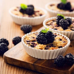 Thornless Blackberry Bush -Garden Plant Shop Thornless Blackberry 2