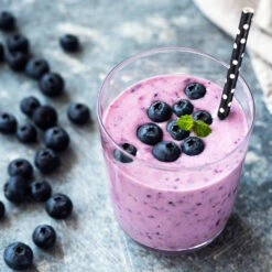 Tifblue Blueberry Bush -Garden Plant Shop TifBlue Blueberry 5