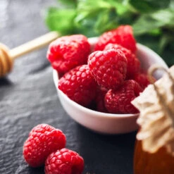 Willamette Red Raspberry Bush 9 Willamette Red Raspberry Bush -Garden Plant Shop Wiliamette Raspberry 1